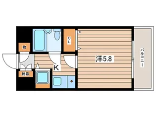 ソリスト綱島【5階】の間取り