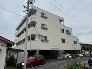 アーリーバードIIIの画像