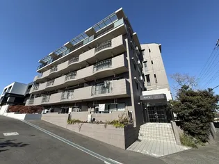 ベルコリーヌメイの画像