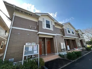 ビスターリア Cの画像