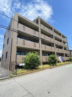 キング ペレの画像