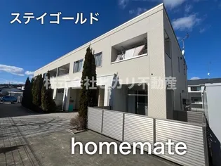 ステイゴールドの画像