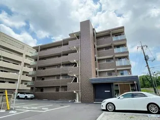 N O桜と道の画像