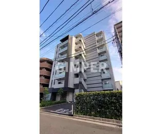 マーシスマルルの画像