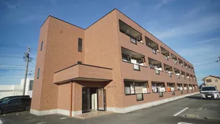 メゾントルヴェール【1階】の外観