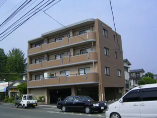 サンライズの画像