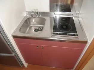 レオパレスLU SHINA【4階】のその他画像