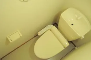 レオパレスLU SHINA【4階】の内装