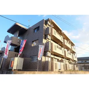 T フォレストの画像