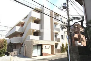 フォレット デ ソレイユの画像