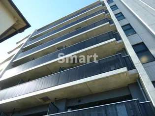 東京都中野区新井1【マンション】の外観