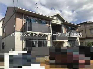 ピースフルTの画像