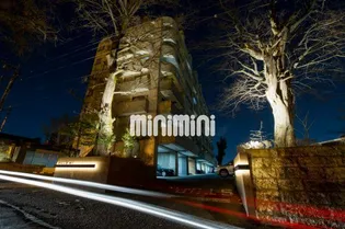 ヒルズ M1の画像