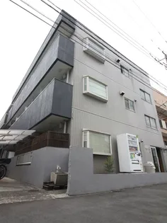 フォレストカイラの画像