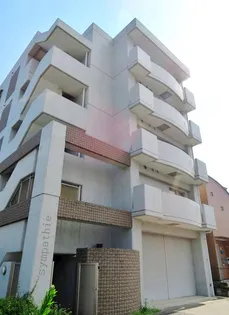 サンパティーの画像