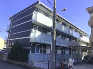 レオネクストドリーム金子の画像