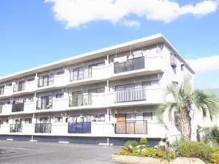 コリーヌ厚木の画像