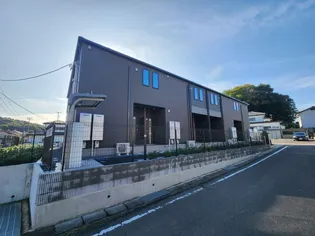 マウロアの画像