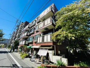 水入ハイランドマンションの画像