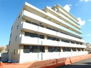 プルメリアの画像