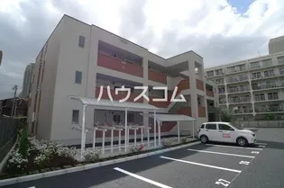 パーシモンの画像