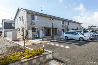 プライマリーコートの画像