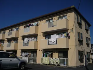 マニフィールドの画像