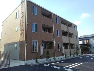 プラシードBの画像