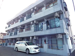 グレイス渡辺の画像