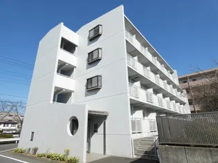 CS 16 HIRAKATAの画像