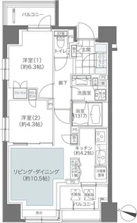 メゾンカルム本郷【11階】の間取り
