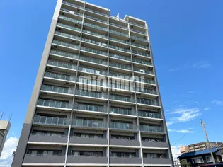 バンベール白子の画像