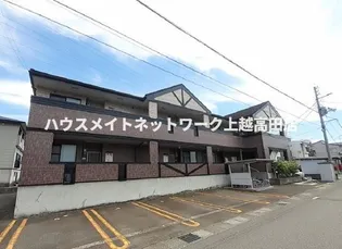 プラティーノの画像