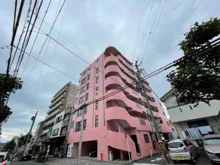 めぞんなかもりの画像