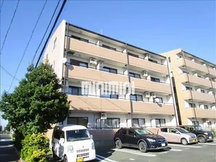 プラザヴィラ A棟【1階】の外観