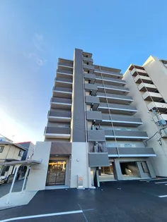 SOLANA月出の画像