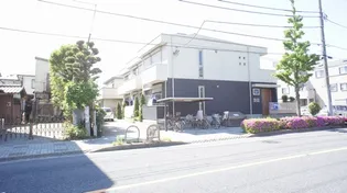 ヴィルドミールカメリアの画像