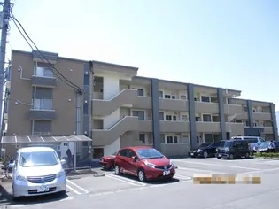 ベッラ ビスタの画像