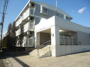 ドゥジェーム ニイヤの画像