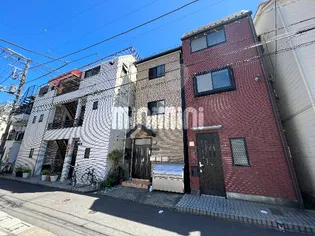 ルピナスIIの画像