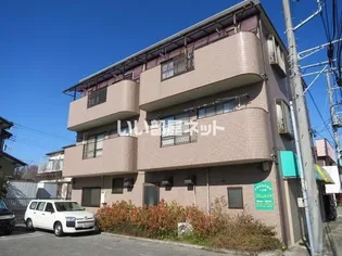 トラスト鈴木の画像