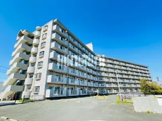 マリン神野の画像
