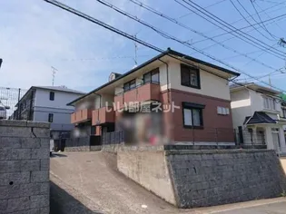 ハイカムール八科の画像