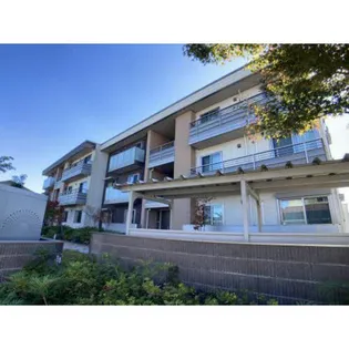 ファースト コンフォーザの画像