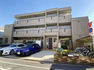 ソレーユ トレビナの画像