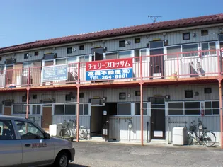 チェリーブロッサムの画像