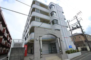 福住ソフィアの画像