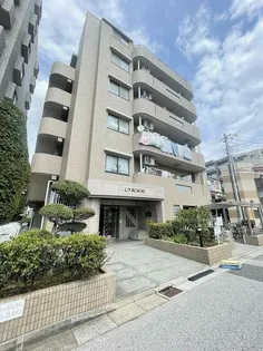 ドルフKMKの画像