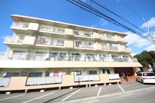 住吉ビューハイツ【4階】の外観