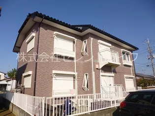 バートンアンバーの画像